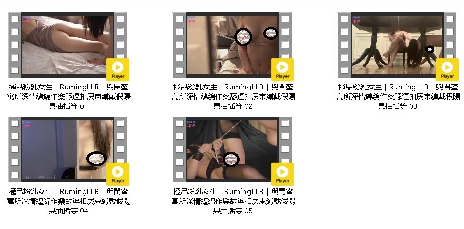 14101639912