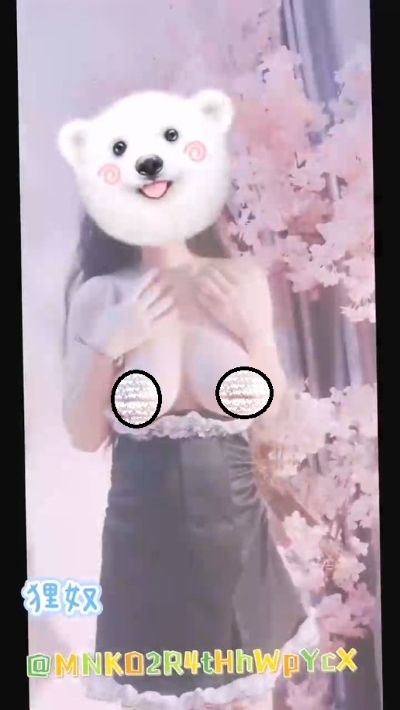 21050245420