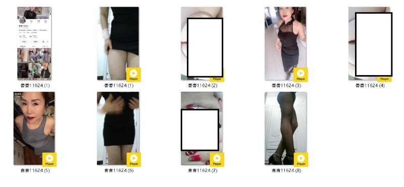 13091135511