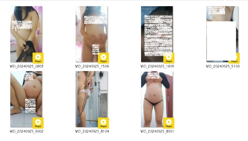 16083054677