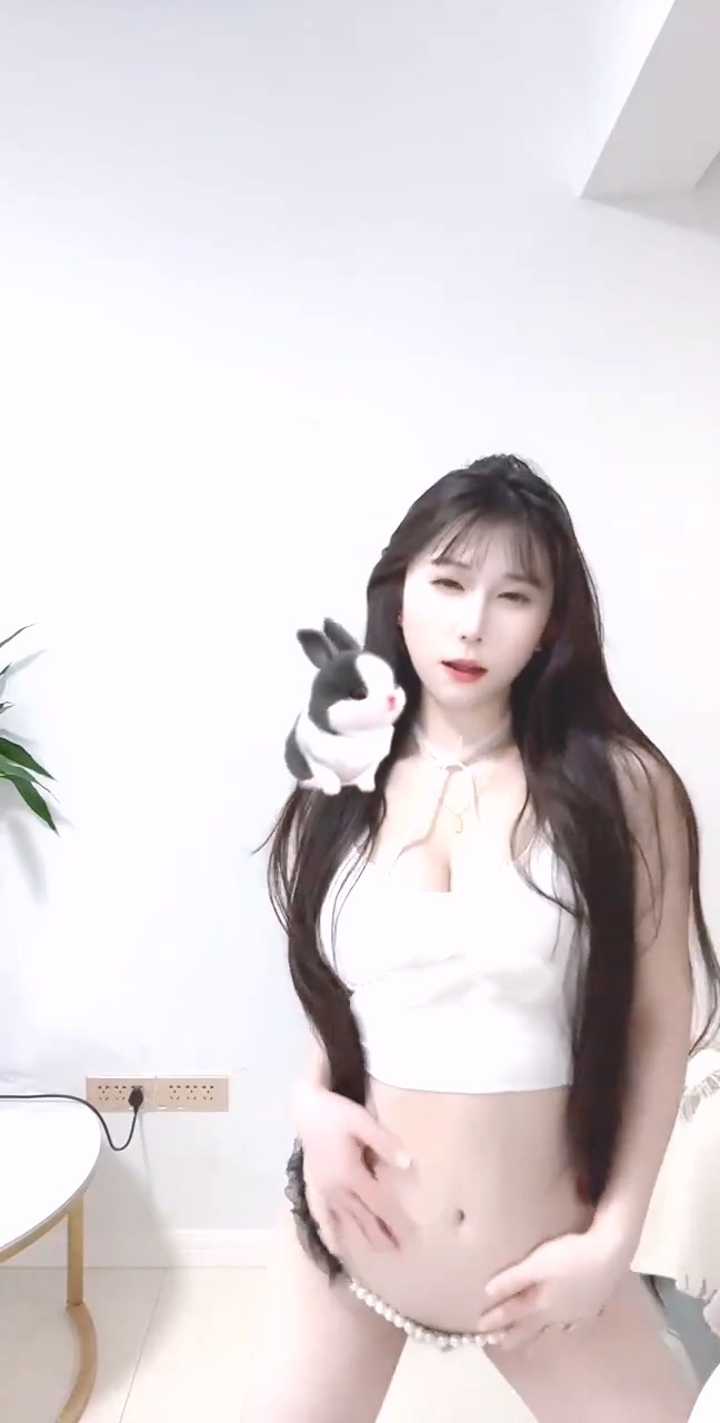 04083246338