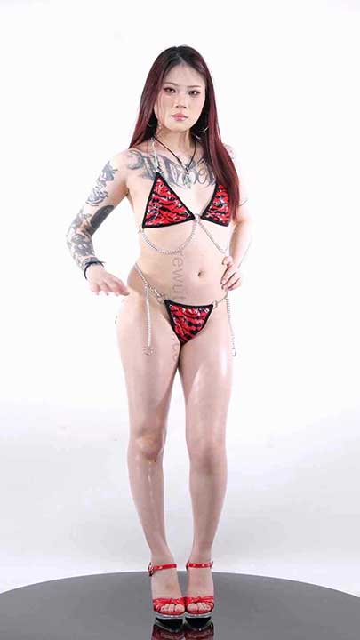 红玫瑰 精品合集4期14V