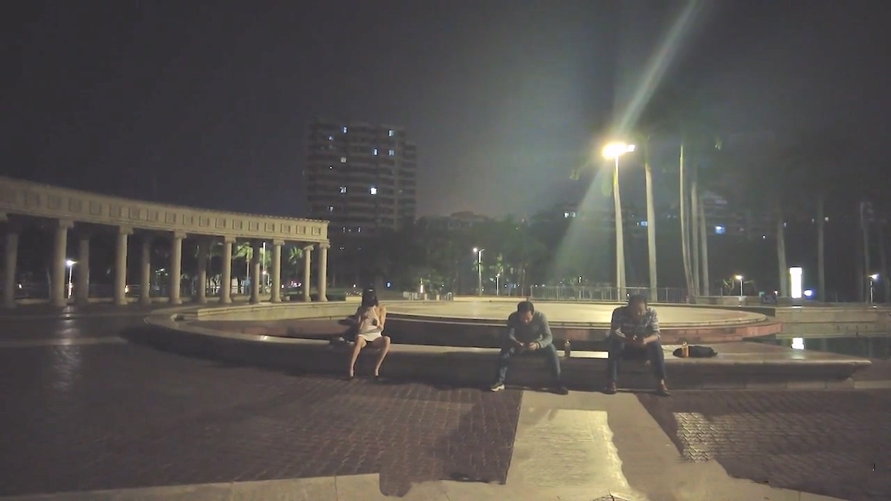 29010541806