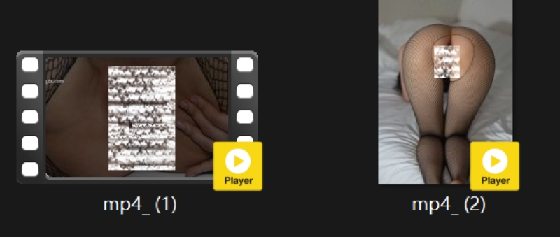 31023958281