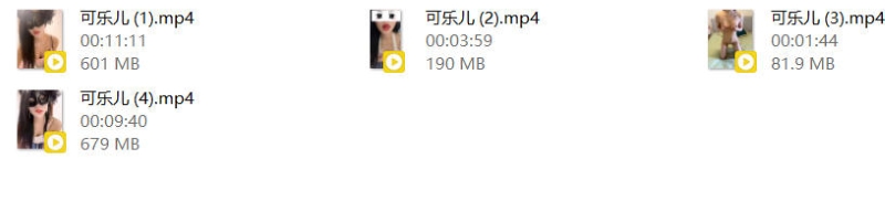 12144508763