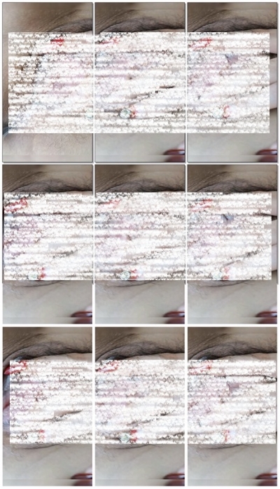 15135852980
