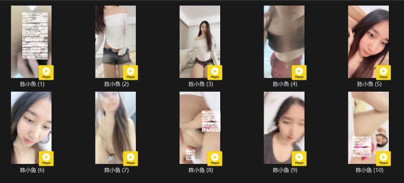13123420323