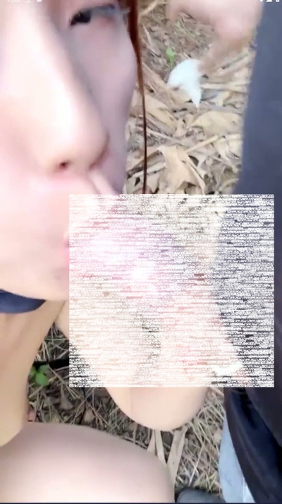 16105200238