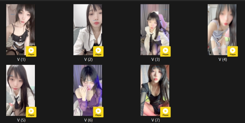 16064115353