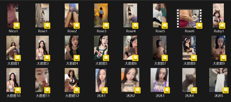 13115315524